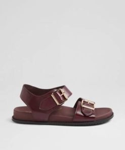 Ziera Hastice W-ZR Merlot